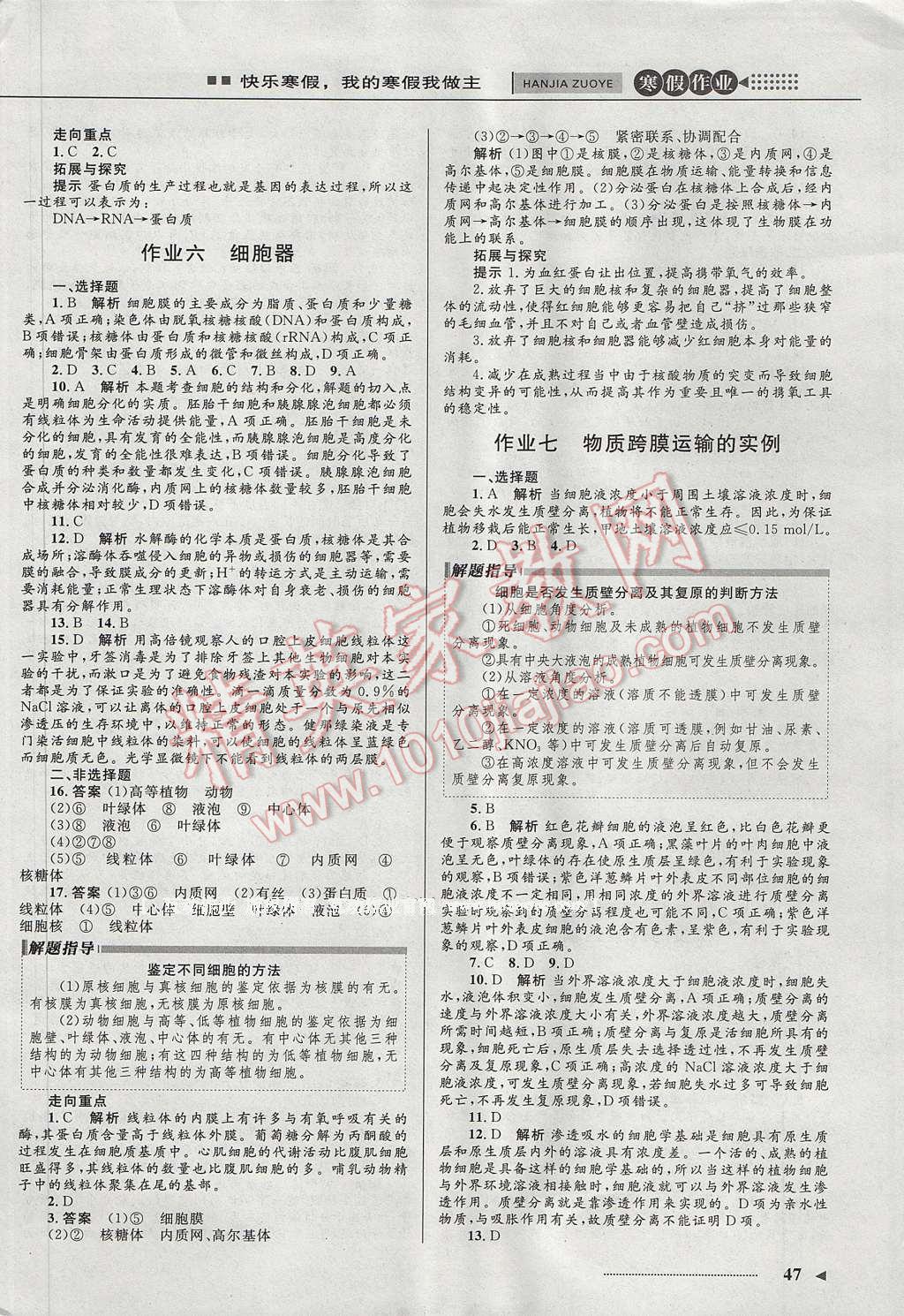 2017年志鴻優(yōu)化系列叢書寒假作業(yè)高一生物必修1 參考答案第13頁