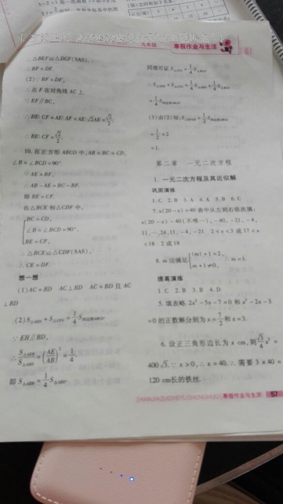 2017年寒假作业与生活九年级数学北师大版陕西师范大学出版总社 第8页