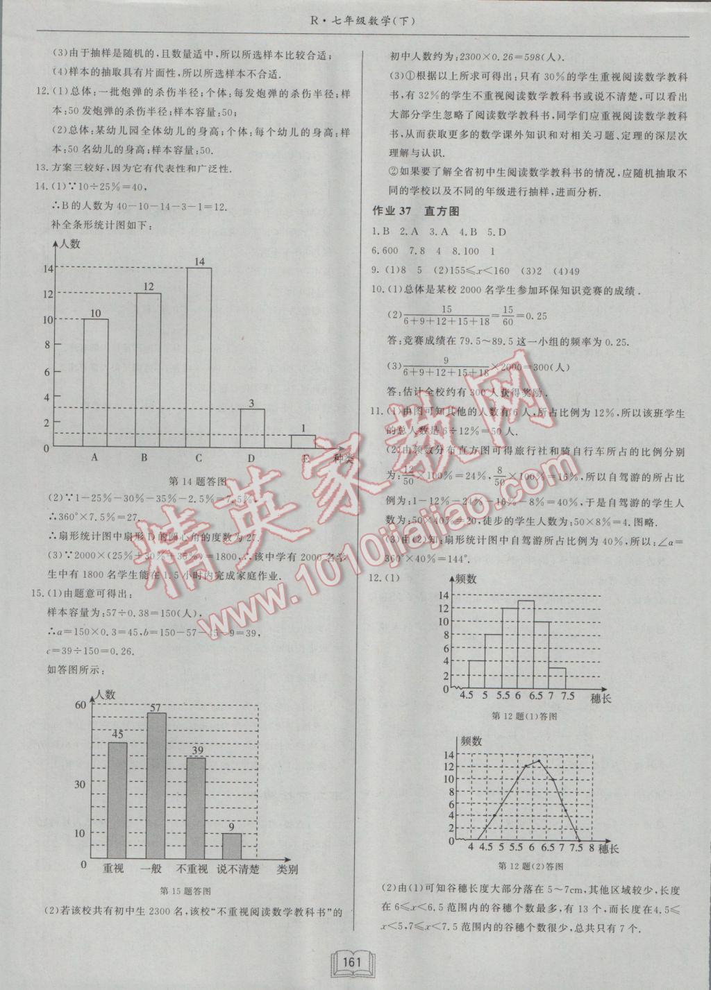 2017年启东中学作业本七年级数学下册人教版 参考答案第17页