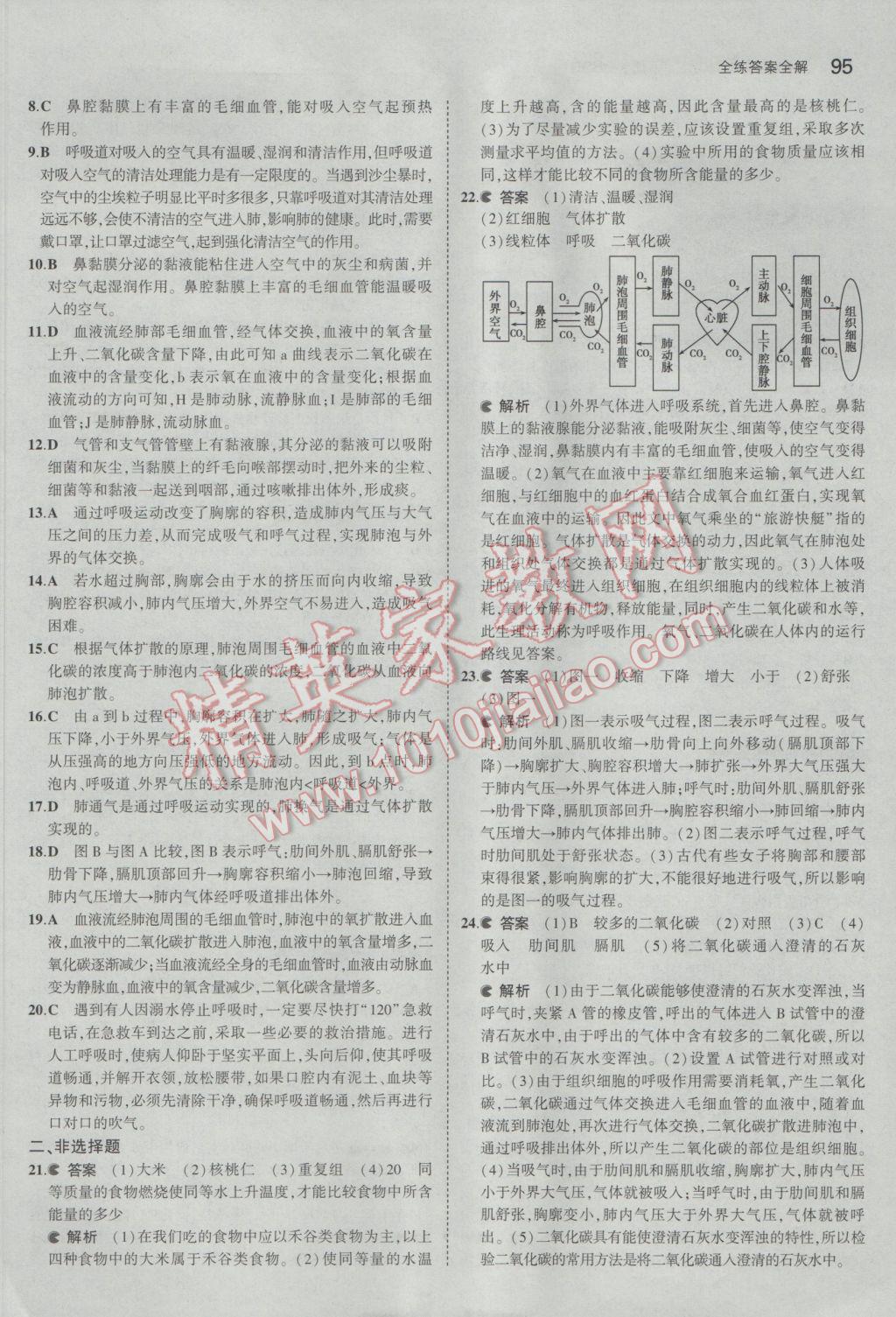 2017年5年中考3年模拟初中生物七年级下册北师大版 参考答案第11页