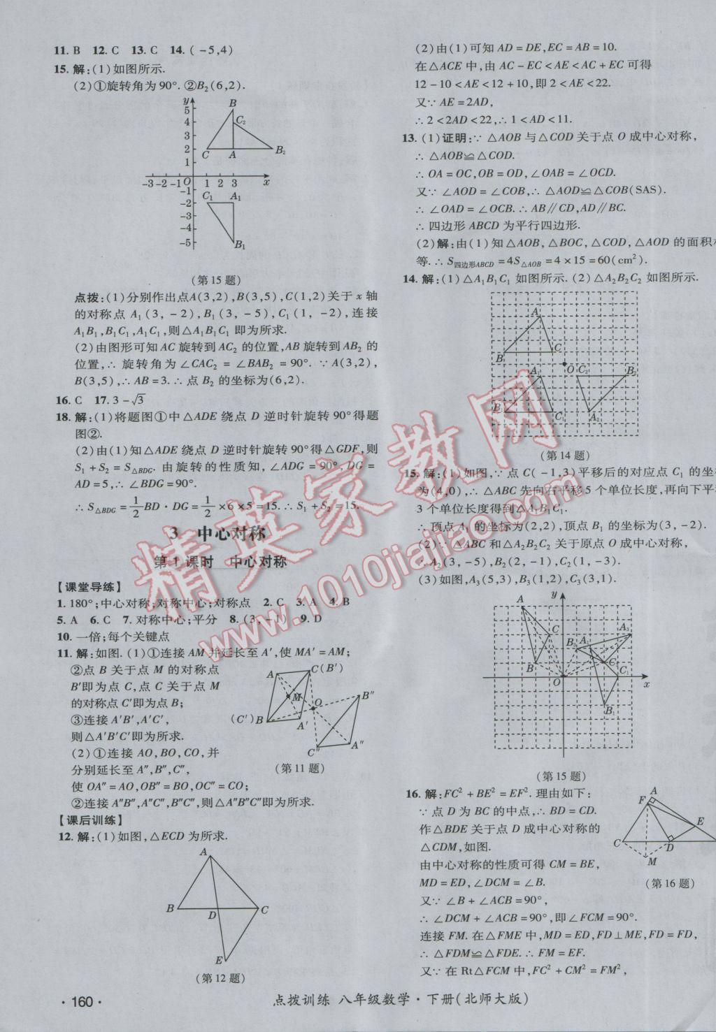 2017年点拨训练八年级数学下册北师大版 参考答案第31页