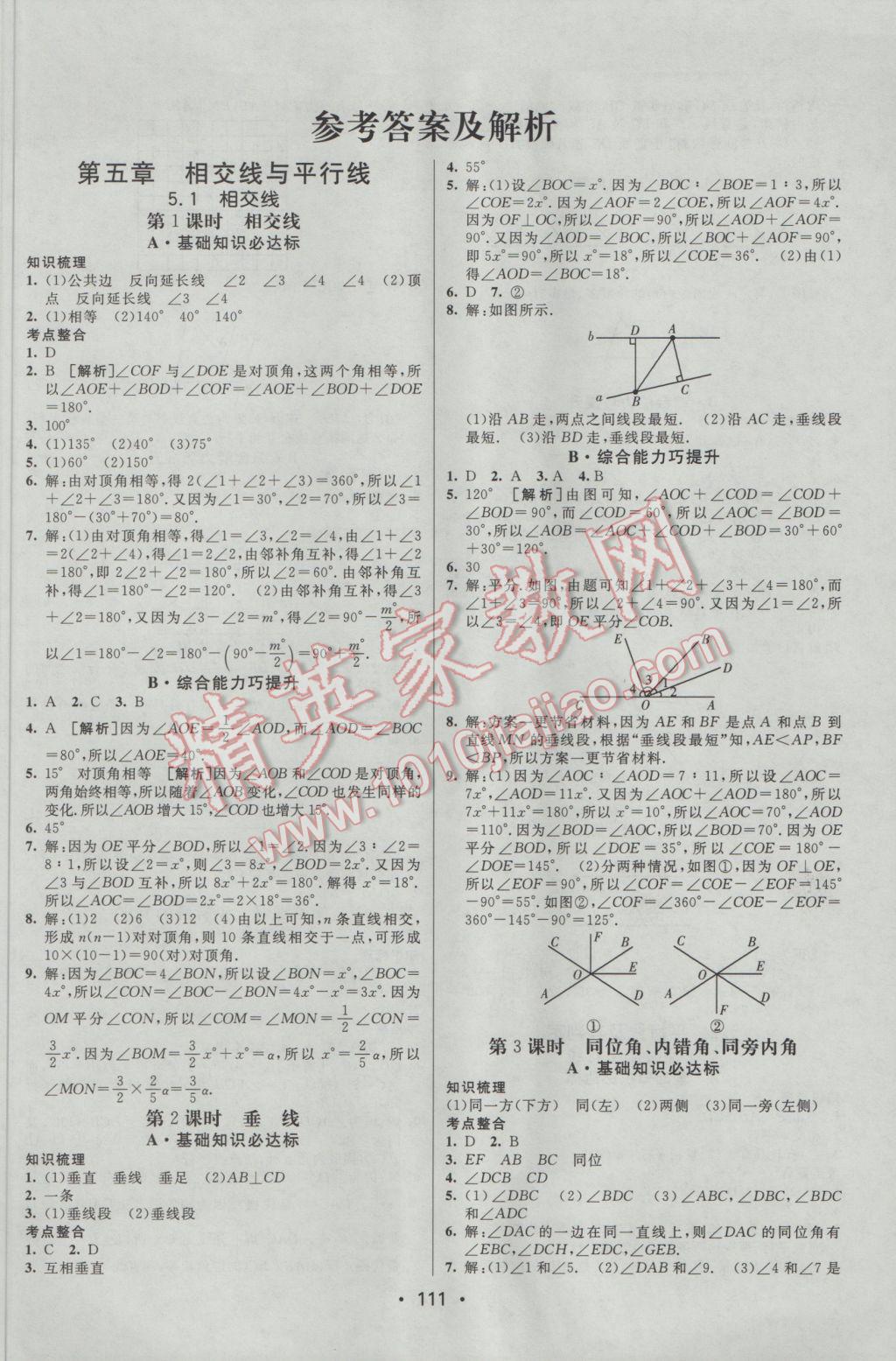 2017年同行学案学练测七年级数学下册人教版 参考答案第1页