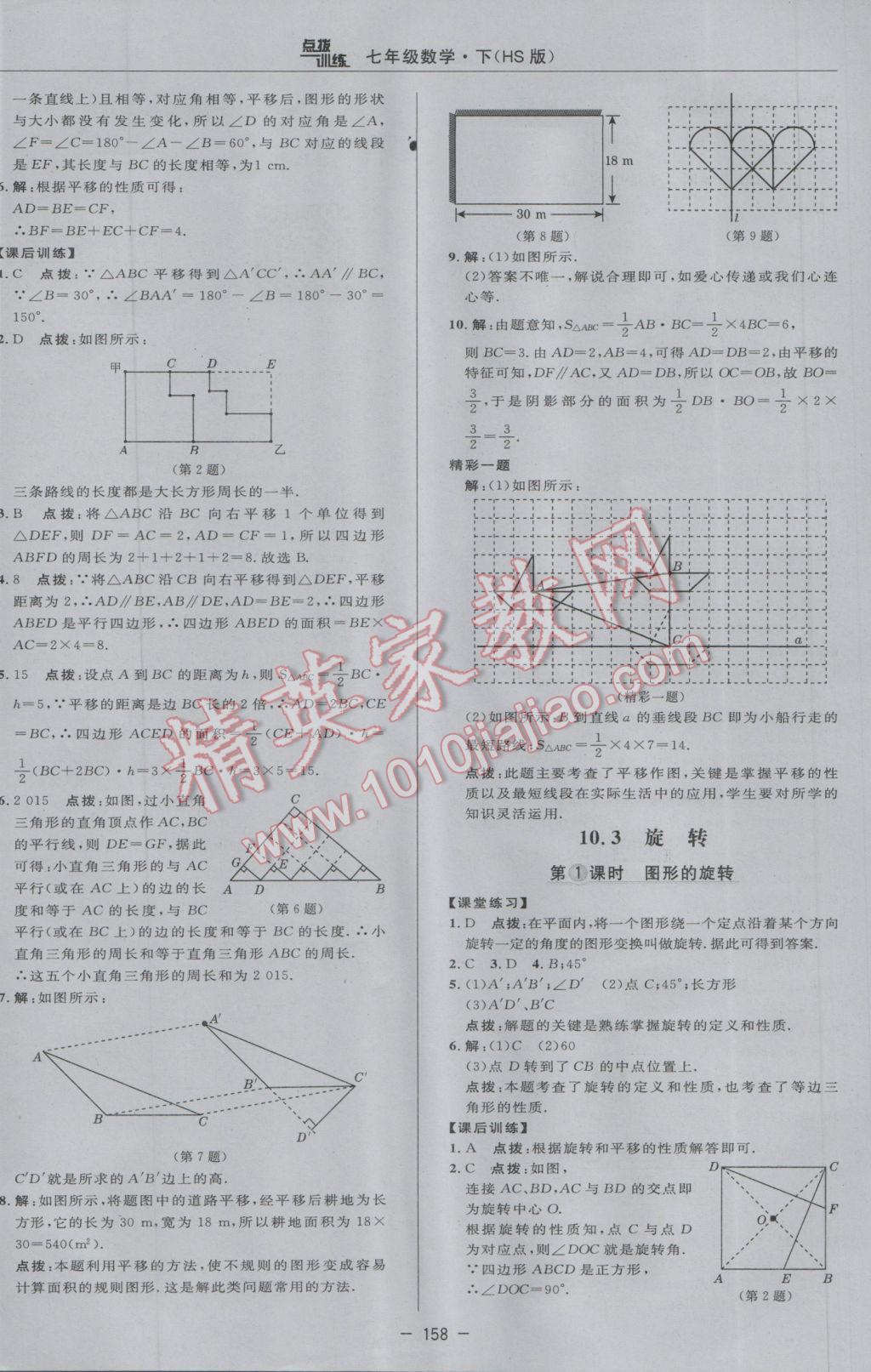 2017年点拨训练七年级数学下册华师大版 参考答案第36页