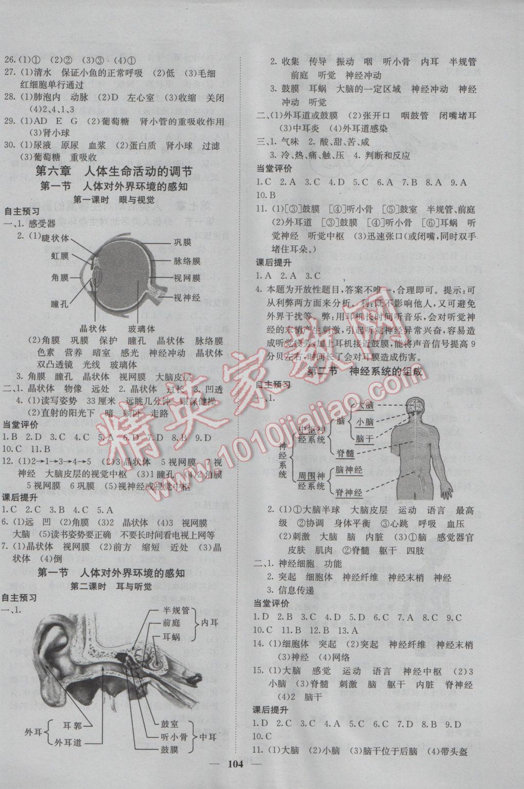 2017年名校課堂內(nèi)外七年級生物下冊人教版 參考答案第6頁