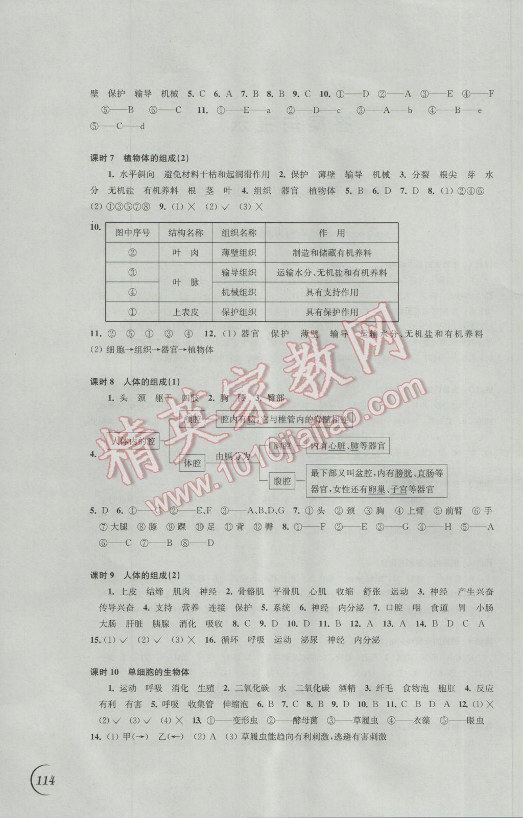 2017年同步练习七年级生物学下册苏科版江苏凤凰科学技术出版社 参考答案第2页