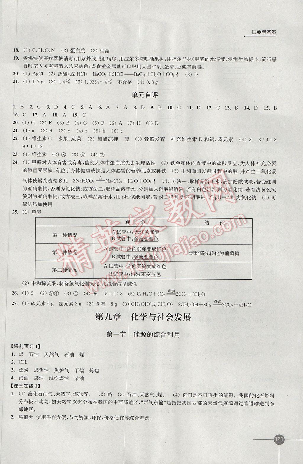 2017年同步练习九年级化学下册沪教版江苏凤凰科学技术出版社 参考答案第13页