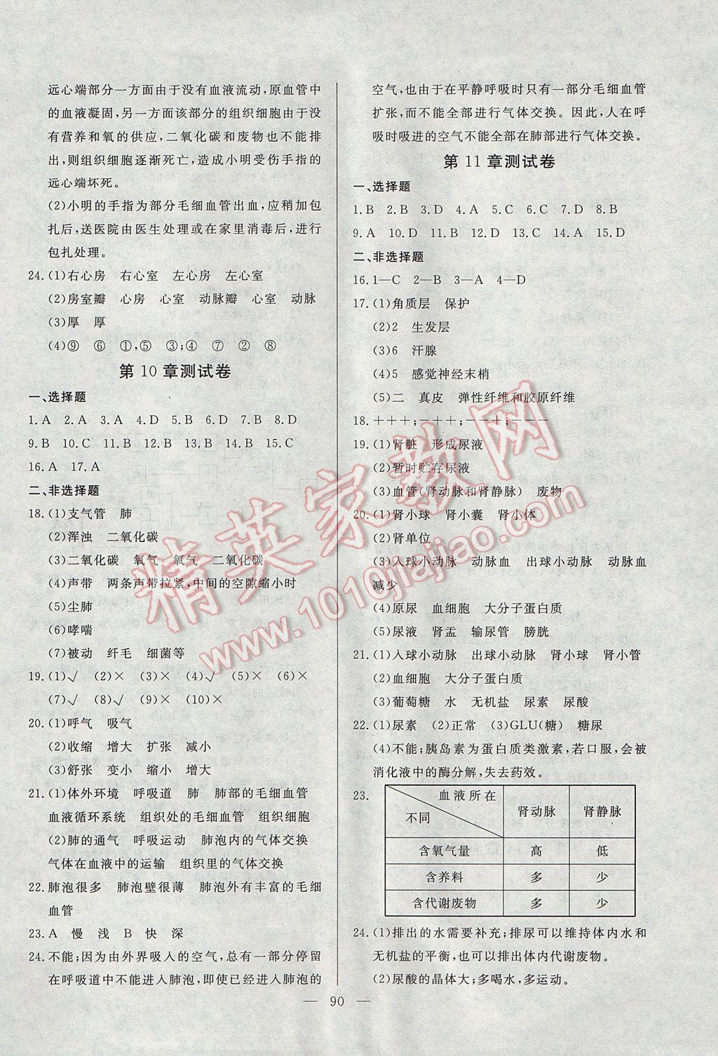 2017年自主訓(xùn)練七年級(jí)生物下冊(cè)北師大版 參考答案第6頁(yè)