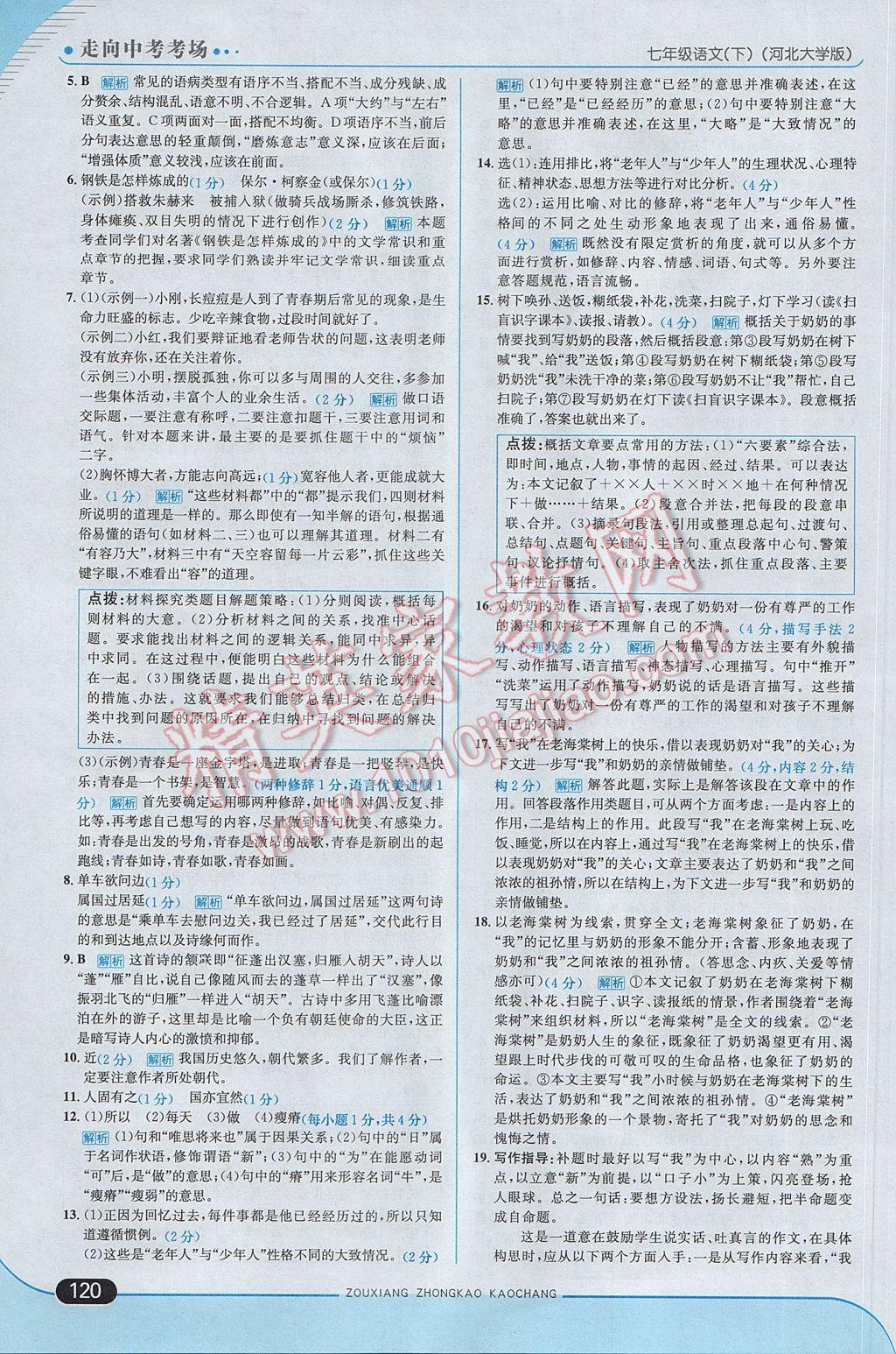 2017年走向中考考場七年級語文下冊河大版 參考答案第10頁