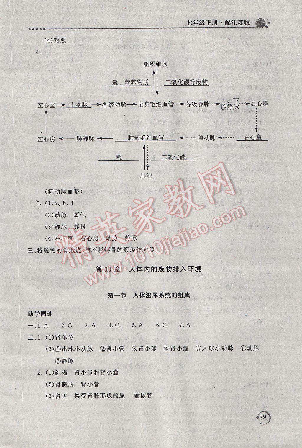 2017年新課堂同步訓(xùn)練七年級生物學(xué)下冊江蘇版 參考答案第9頁