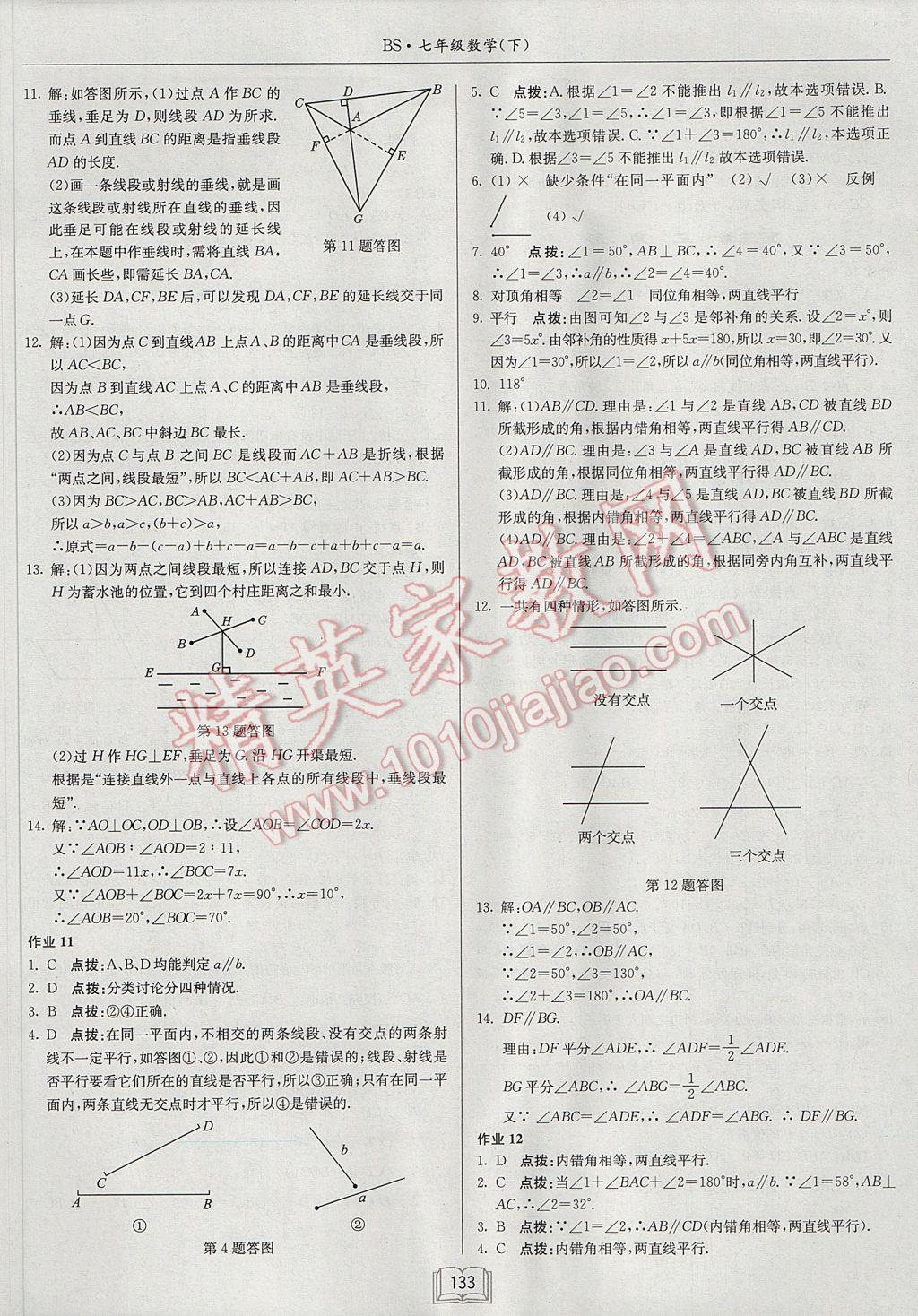 2017年启东中学作业本七年级数学下册北师大版 参考答案第5页