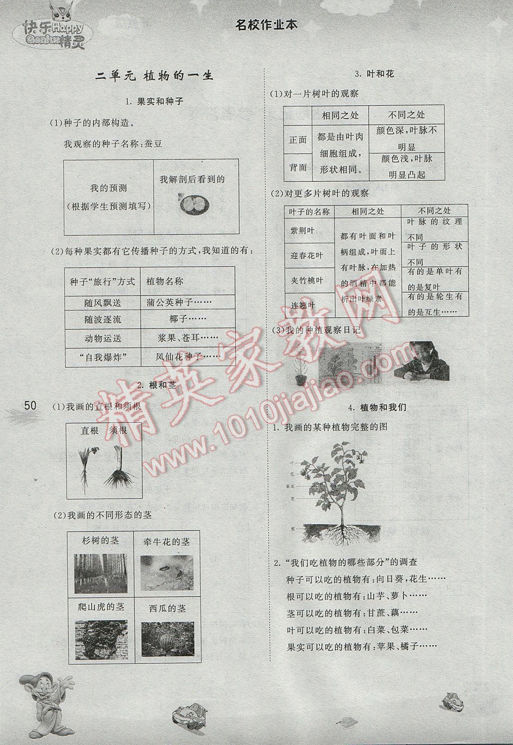 2017年名校作業(yè)本三年級(jí)科學(xué)下冊(cè)蘇教版 參考答案第8頁