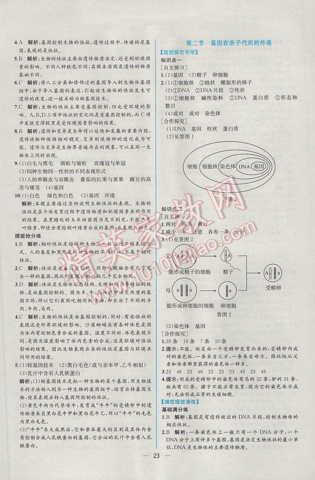 2017年同步導(dǎo)學(xué)案課時(shí)練八年級生物學(xué)下冊人教版 參考答案第7頁