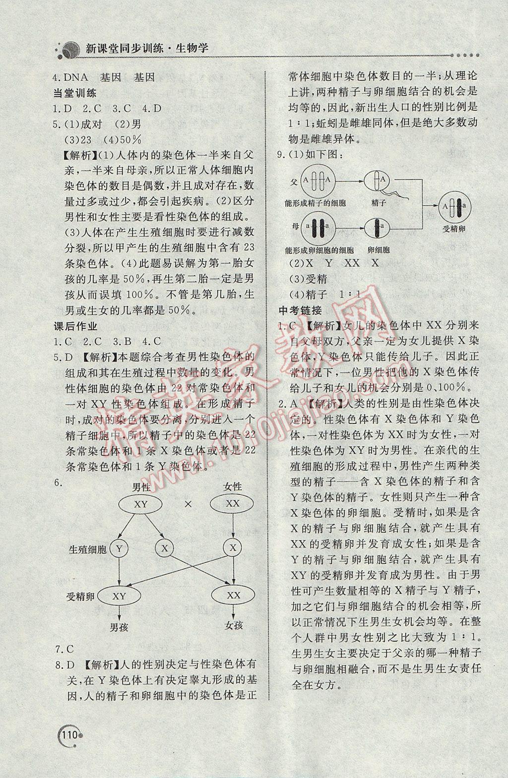 2017年新課堂同步訓(xùn)練八年級生物學(xué)下冊人教版 參考答案第7頁