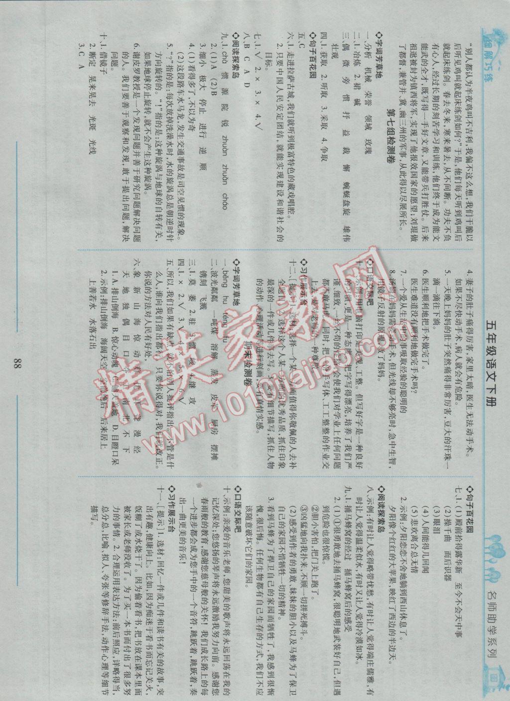 2017年细解巧练五年级语文下册鲁教版五四制 参考答案第11页