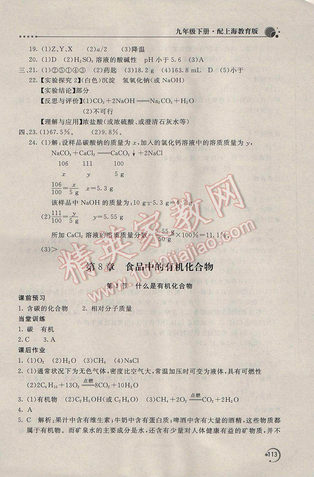 2017年新课堂同步训练九年级化学下册沪教版 参考答案第10页