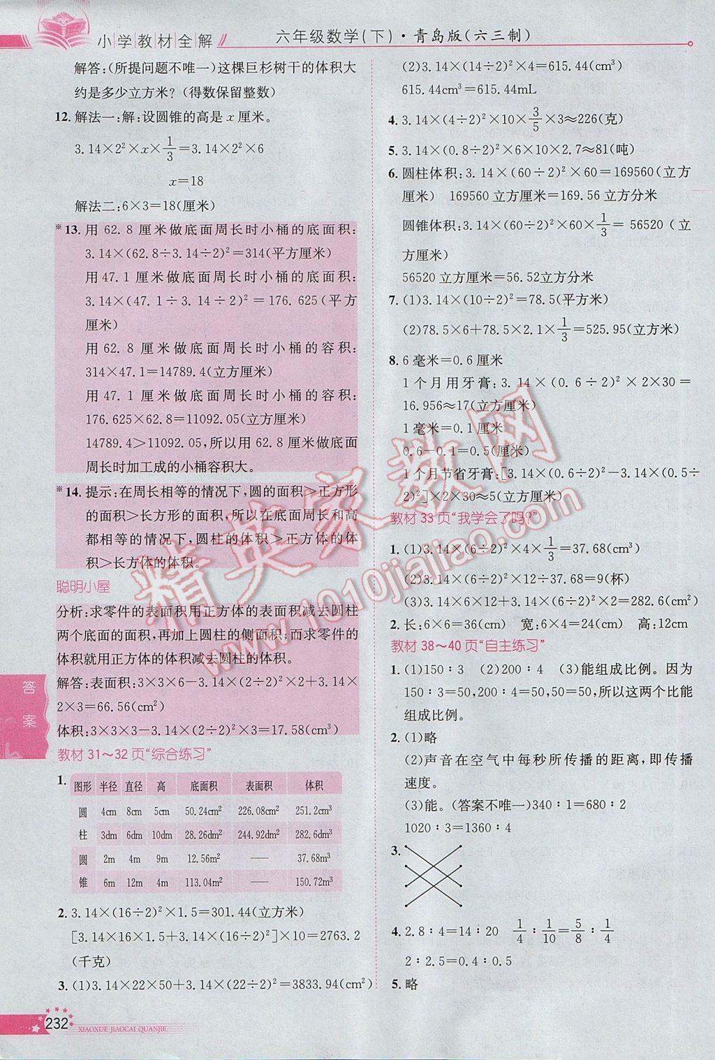 2017年小學(xué)教材全解六年級數(shù)學(xué)下冊青島版六三制 參考答案第19頁