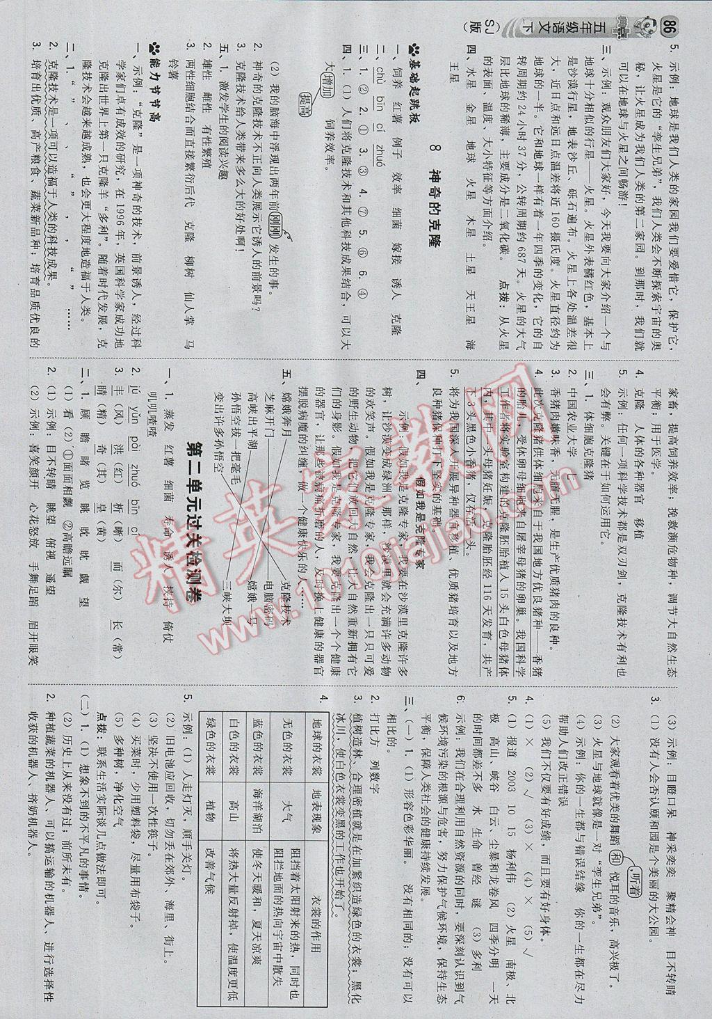 2017年综合应用创新题典中点五年级语文下册苏教版 参考答案第4页