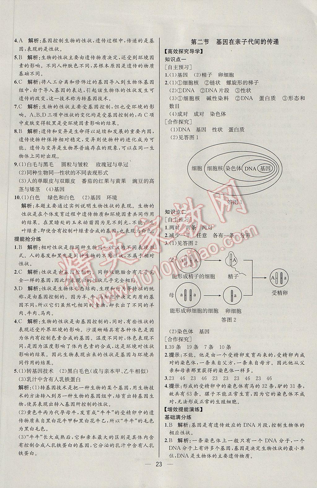 2017年同步導(dǎo)學案課時練八年級生物學下冊人教版河北專版 參考答案第7頁