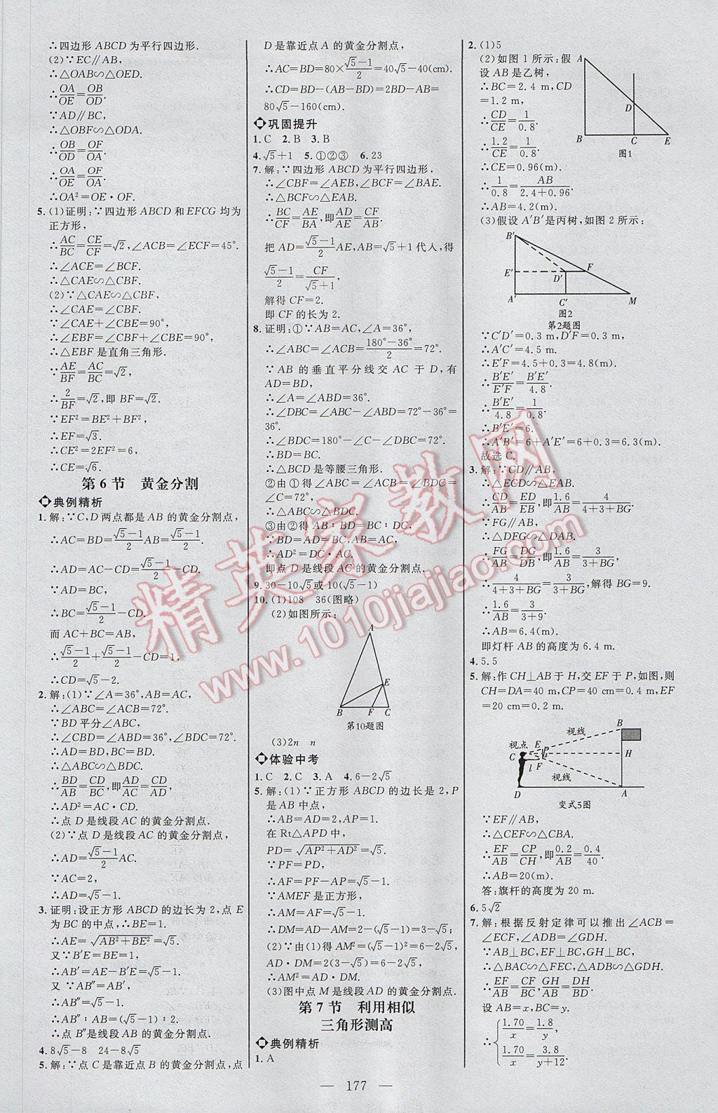 2017年細(xì)解巧練八年級數(shù)學(xué)下冊魯教版 參考答案第20頁