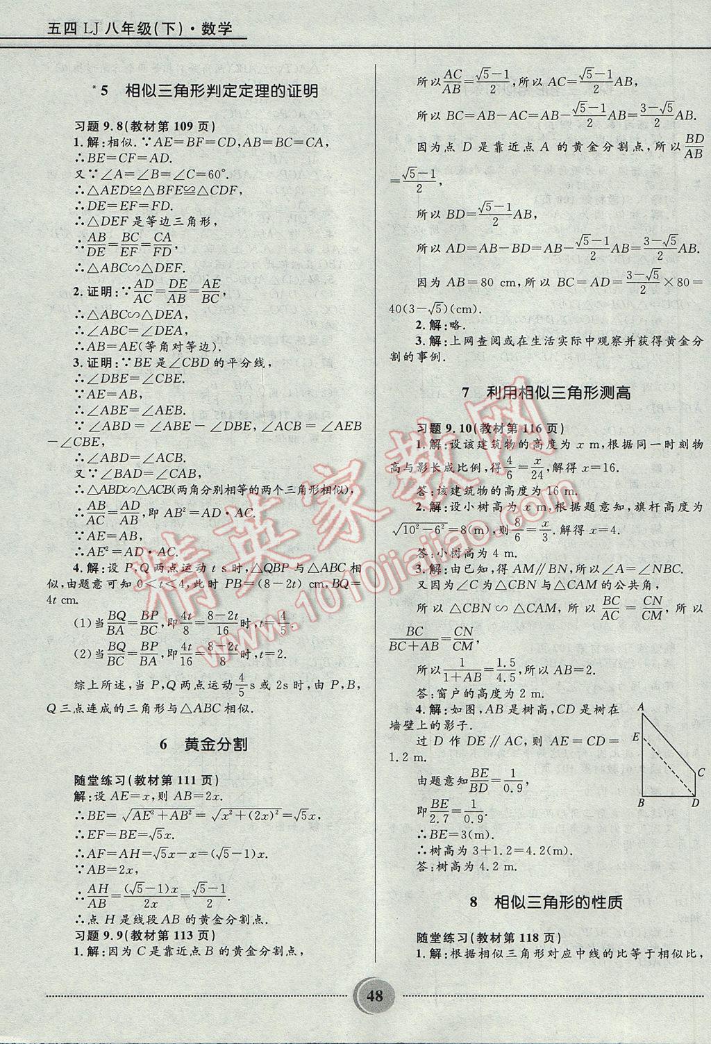 2017年夺冠百分百初中精讲精练八年级数学下册鲁教版五四制 参考答案第48页