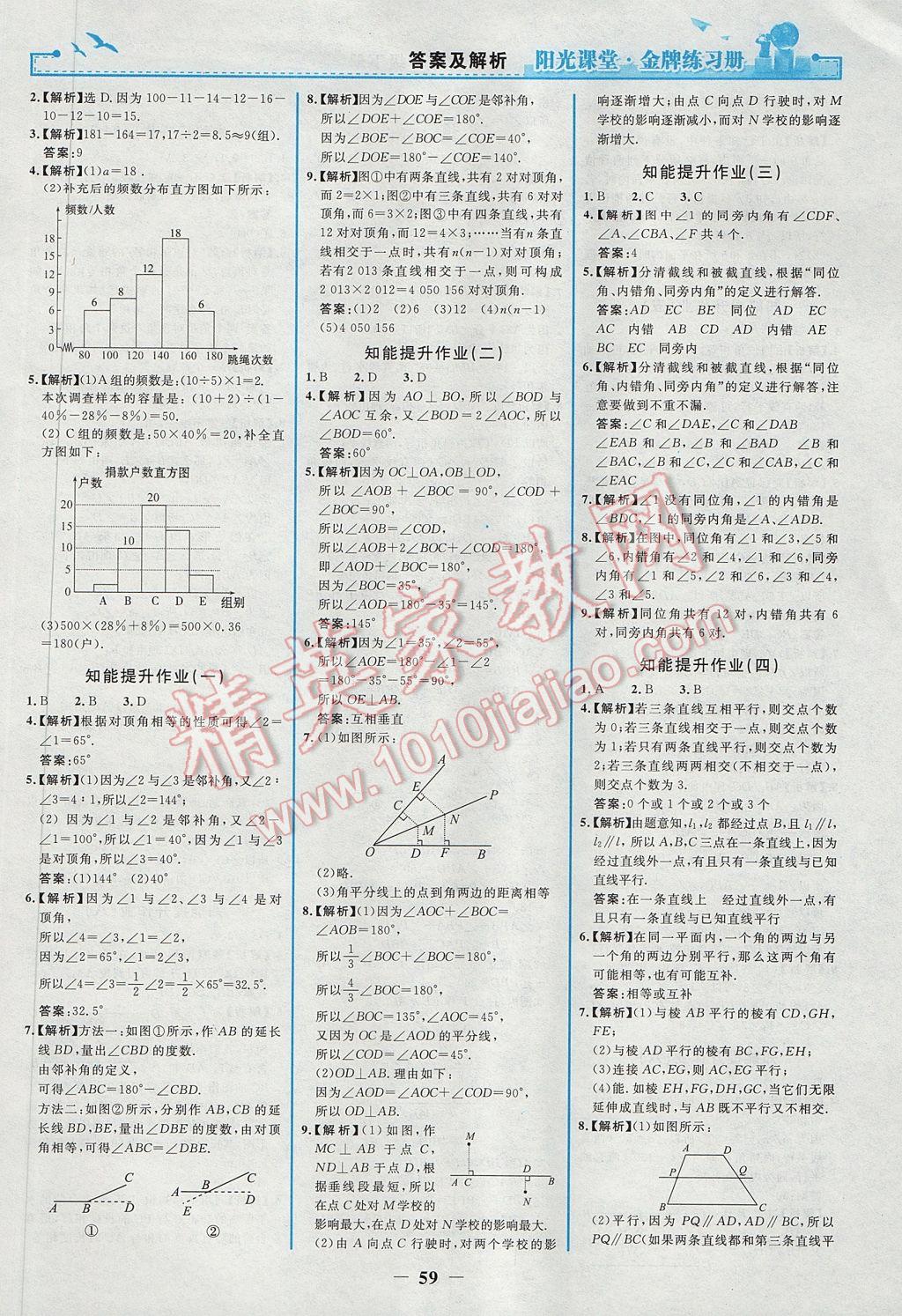 2017年陽光課堂金牌練習冊七年級數(shù)學下冊人教版 參考答案第11頁