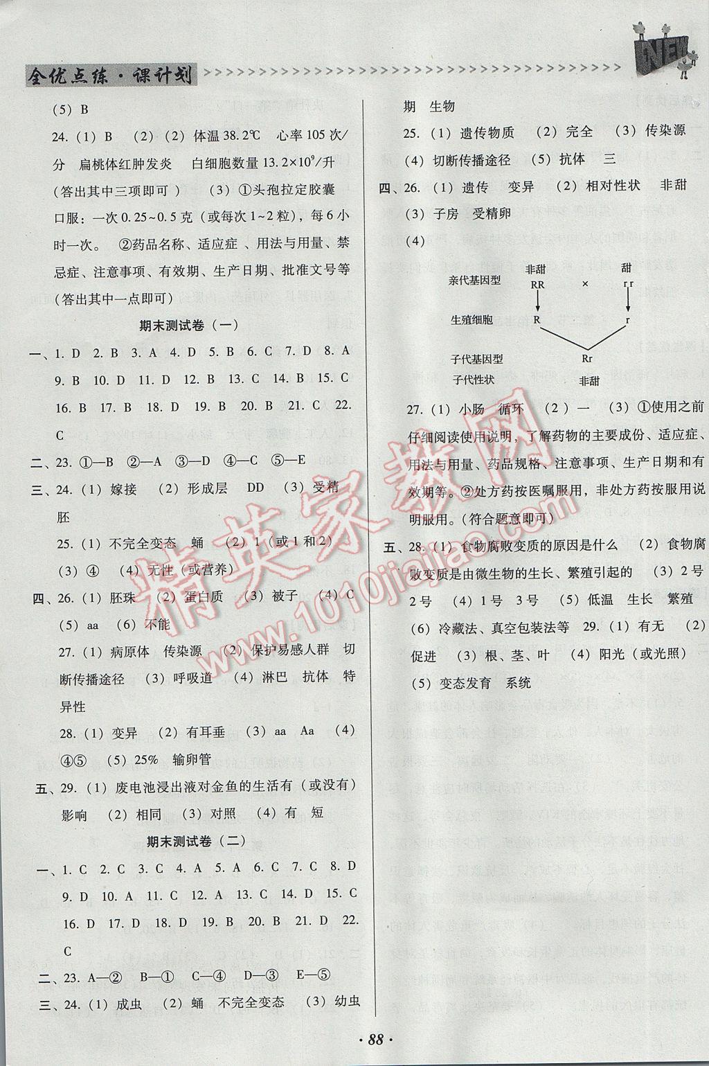 2017年全优点练课计划八年级生物下册苏教版 参考答案第10页