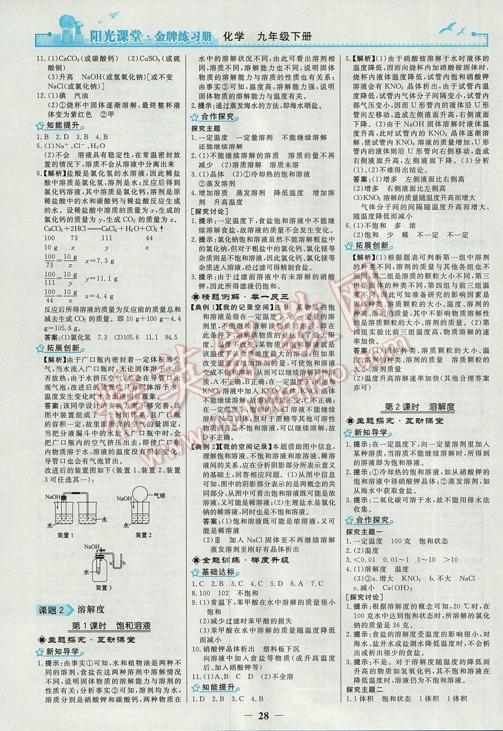 2017年阳光课堂金牌练习册九年级化学下册人教版 参考答案第4页