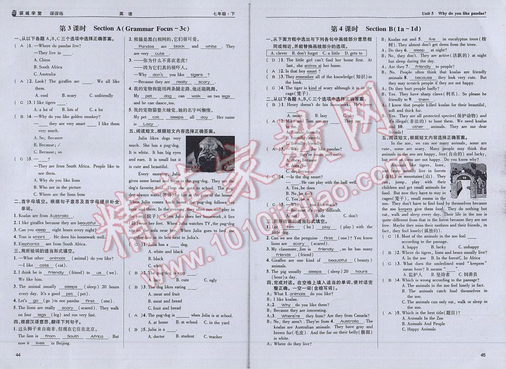 2017年蓉城學(xué)堂課課練七年級(jí)英語(yǔ)下冊(cè) 參考答案第25頁(yè)