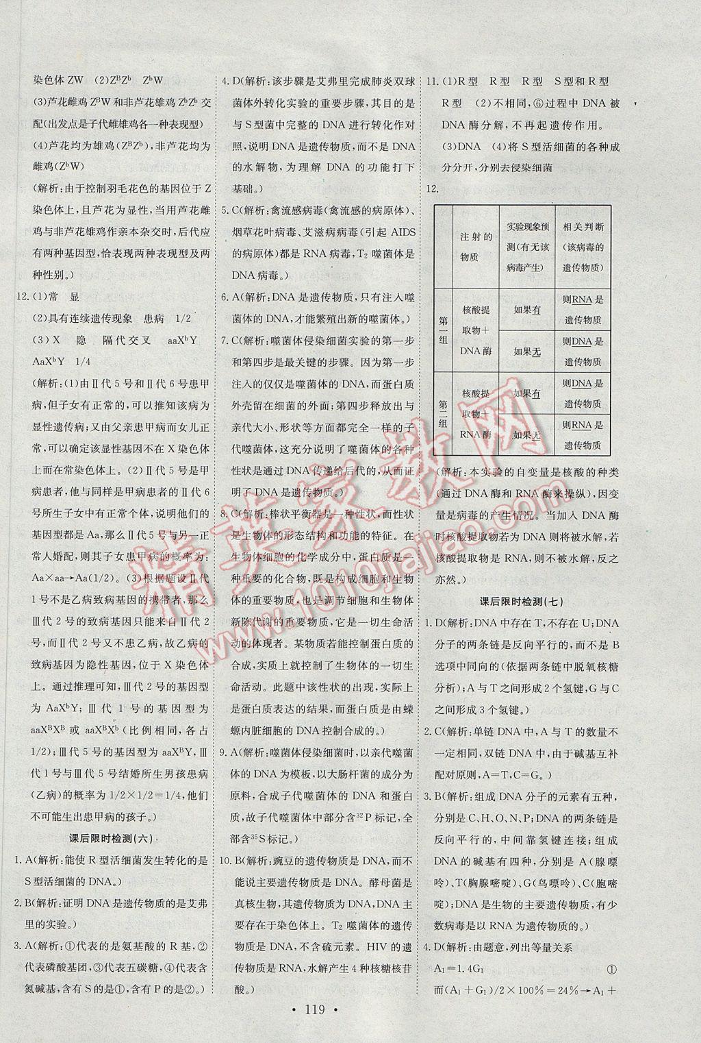 2015年能力培養(yǎng)與測(cè)試生物必修2人教版 參考答案第16頁(yè)