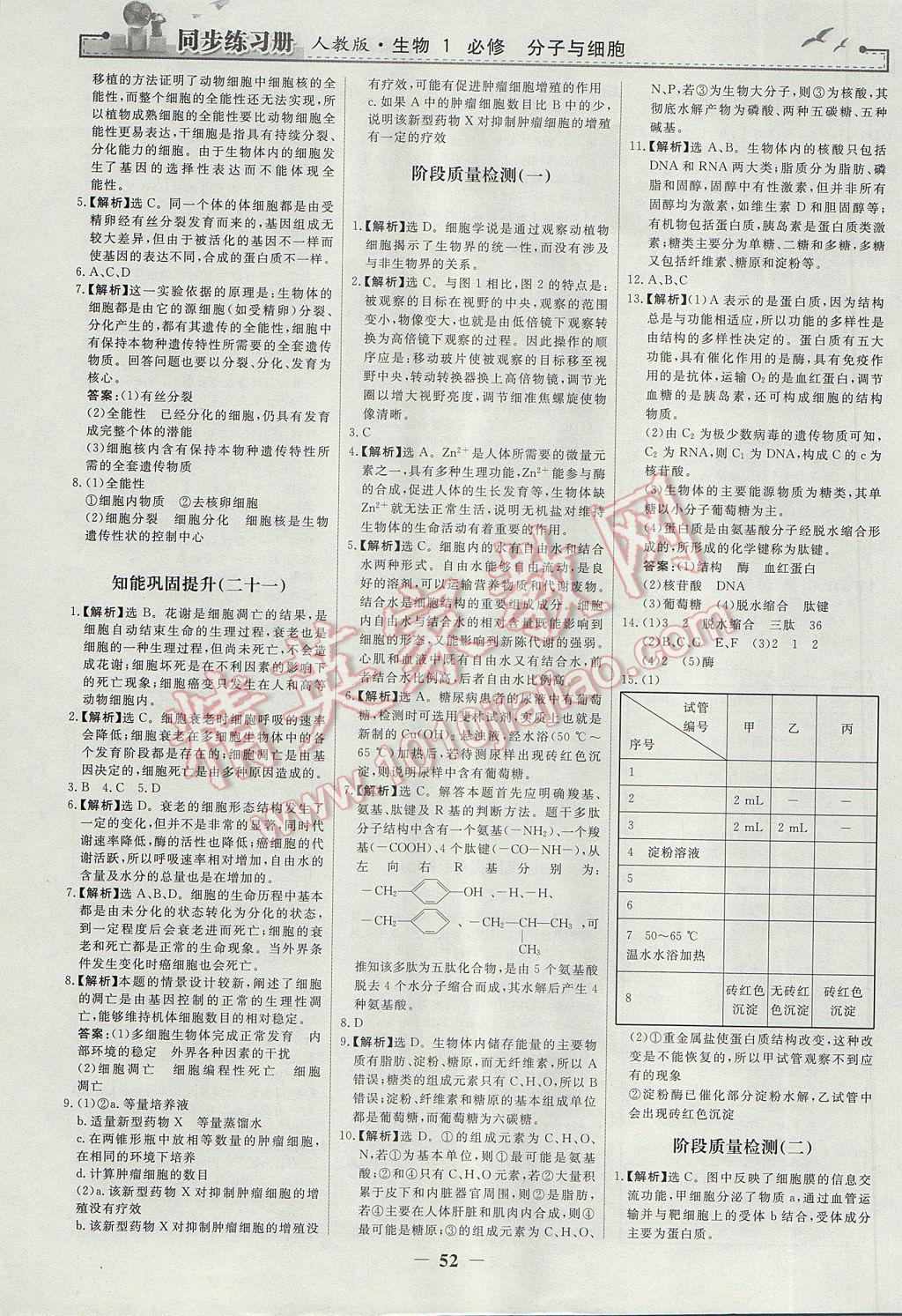 同步練習(xí)冊生物必修1人教版人民教育出版社 參考答案第20頁