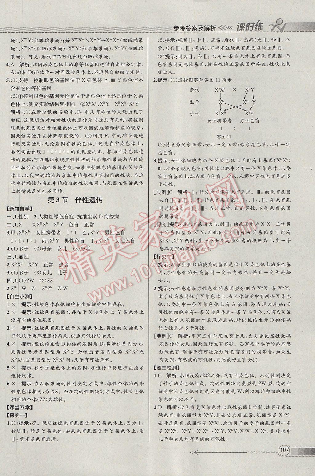 同步導(dǎo)學(xué)案課時練生物必修2人教版河北專版 參考答案第10頁