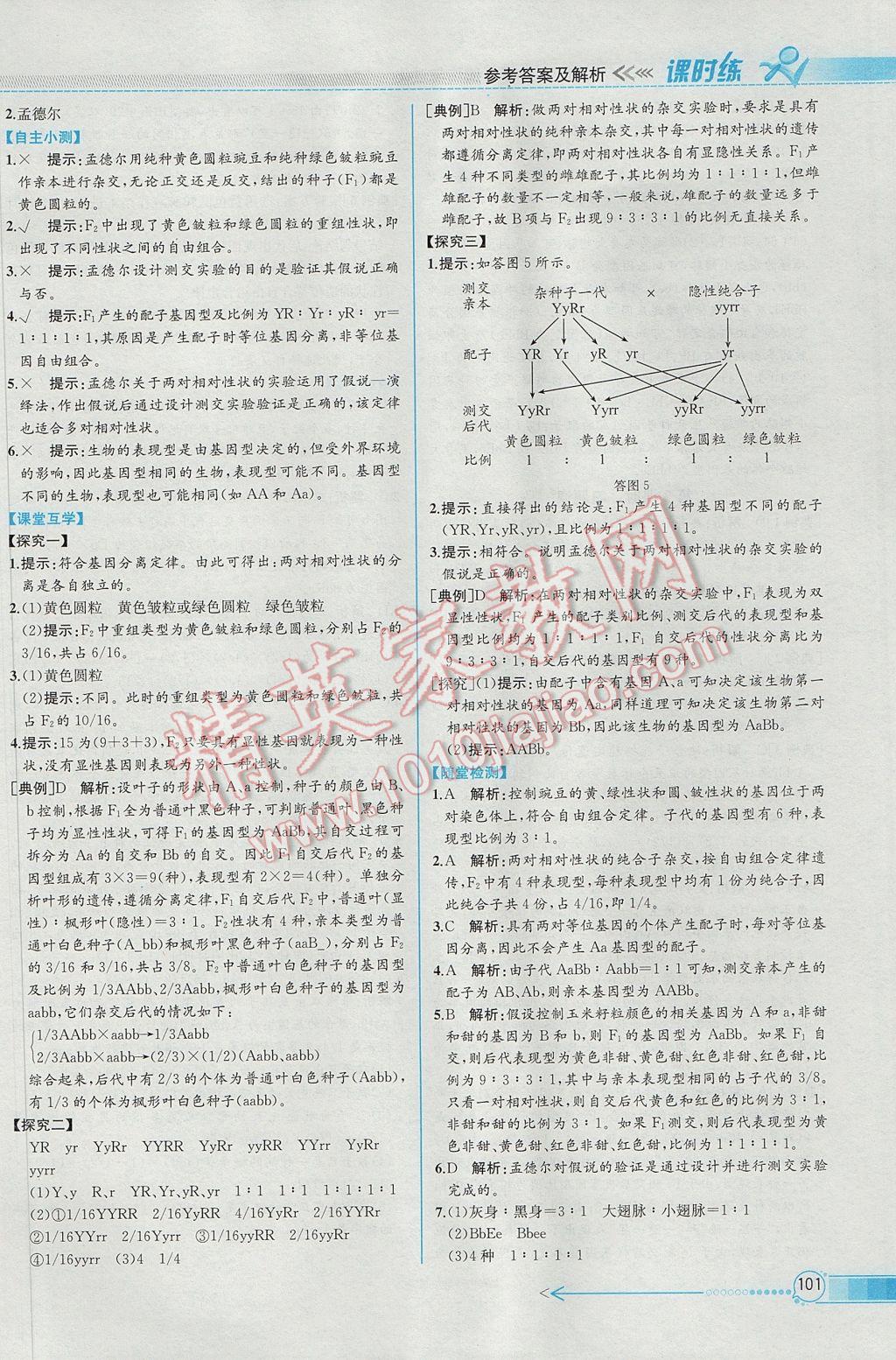 同步導(dǎo)學(xué)案課時(shí)練生物必修2人教版 參考答案第4頁