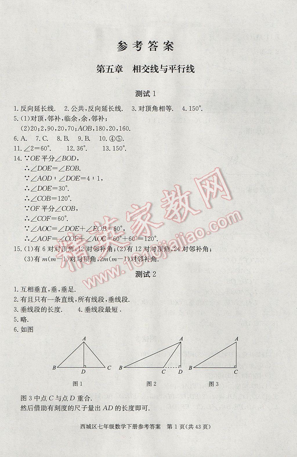 2017年學習探究診斷七年級數學下冊 參考答案第1頁