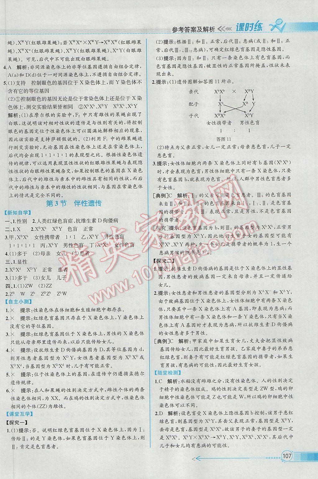 同步導(dǎo)學(xué)案課時練生物必修2人教版 參考答案第10頁