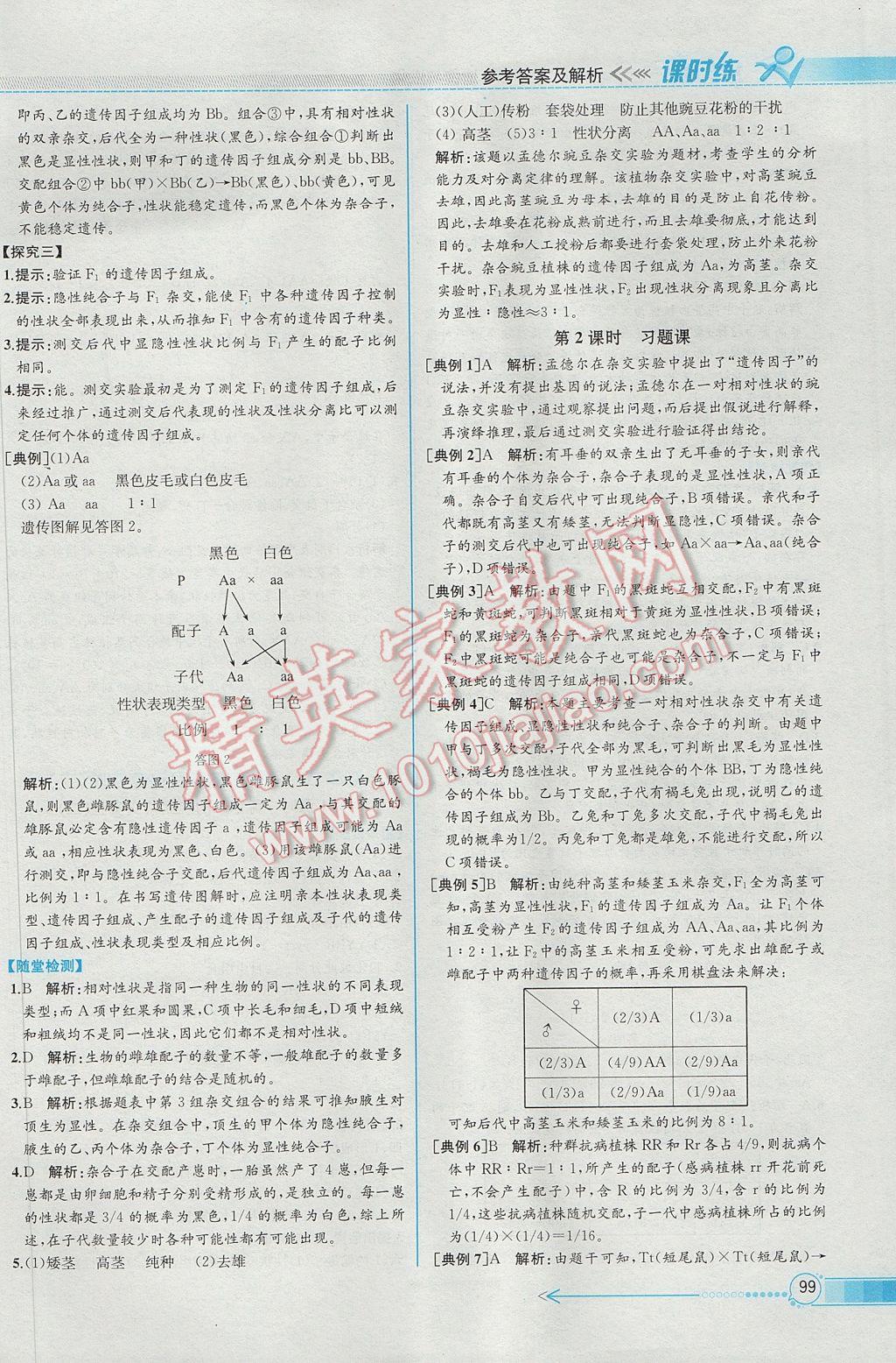 同步導學案課時練生物必修2人教版 參考答案第2頁