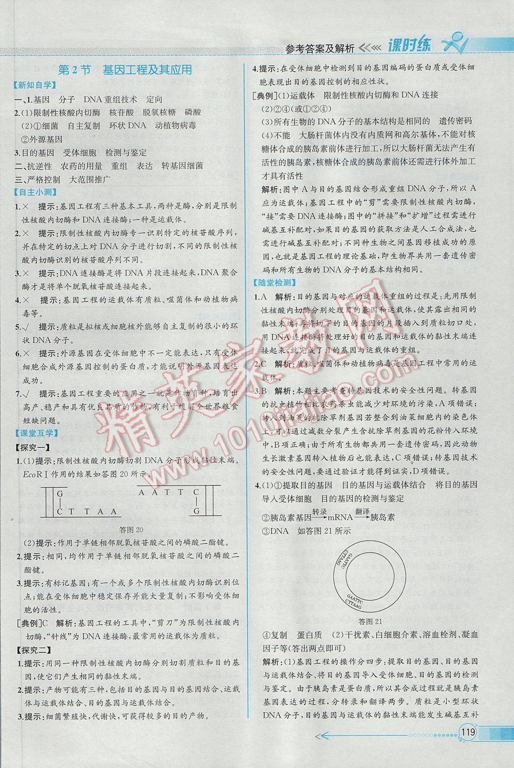 同步導(dǎo)學(xué)案課時(shí)練生物必修2人教版 參考答案第22頁(yè)