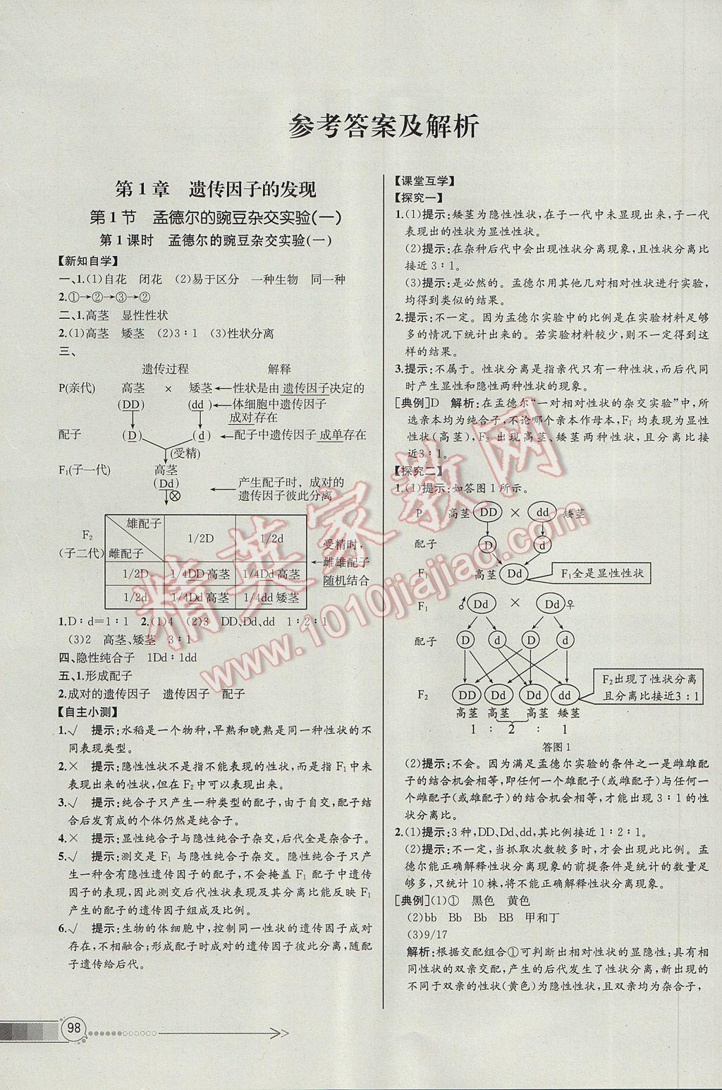 同步導(dǎo)學(xué)案課時練生物必修2人教版河北專版 參考答案第1頁