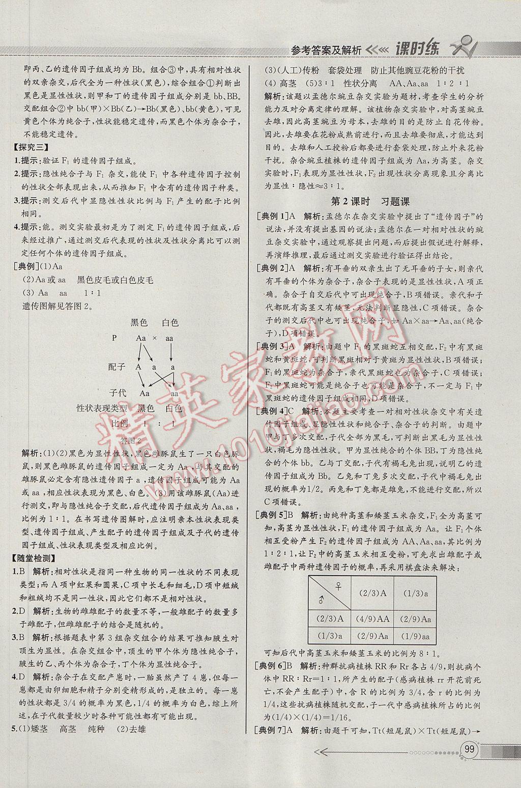 同步導(dǎo)學(xué)案課時練生物必修2人教版河北專版 參考答案第2頁