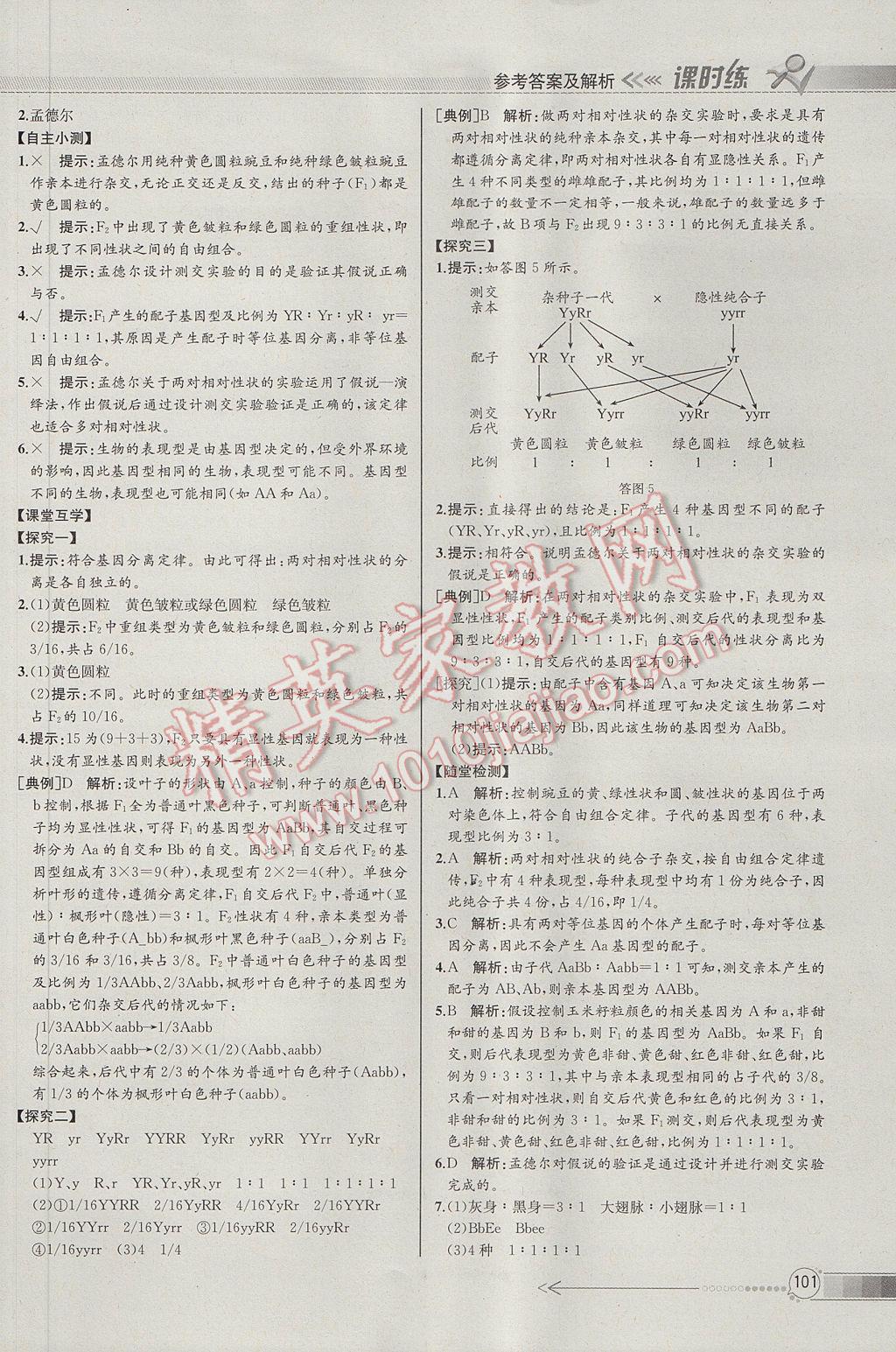 同步導(dǎo)學(xué)案課時(shí)練生物必修2人教版河北專(zhuān)版 參考答案第4頁(yè)