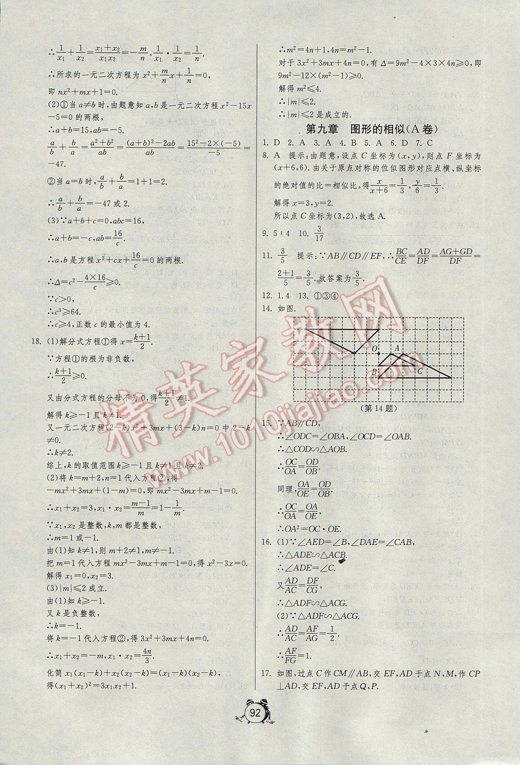 2017年初中单元测试卷八年级数学下册鲁教版五四制 参考答案第8页