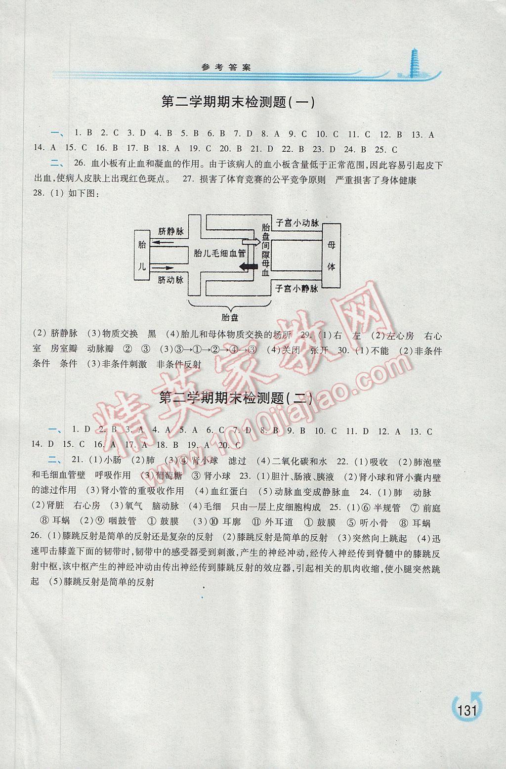 2017年学习检测七年级生物学下册苏教版 参考答案第11页