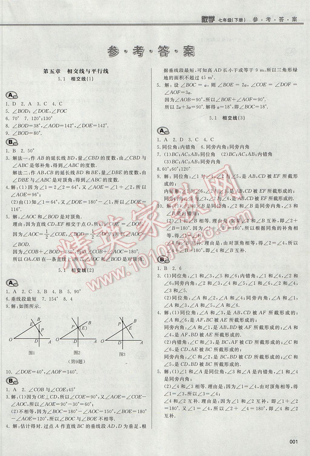 2017年学习质量监测七年级数学下册人教版 参考答案第1页