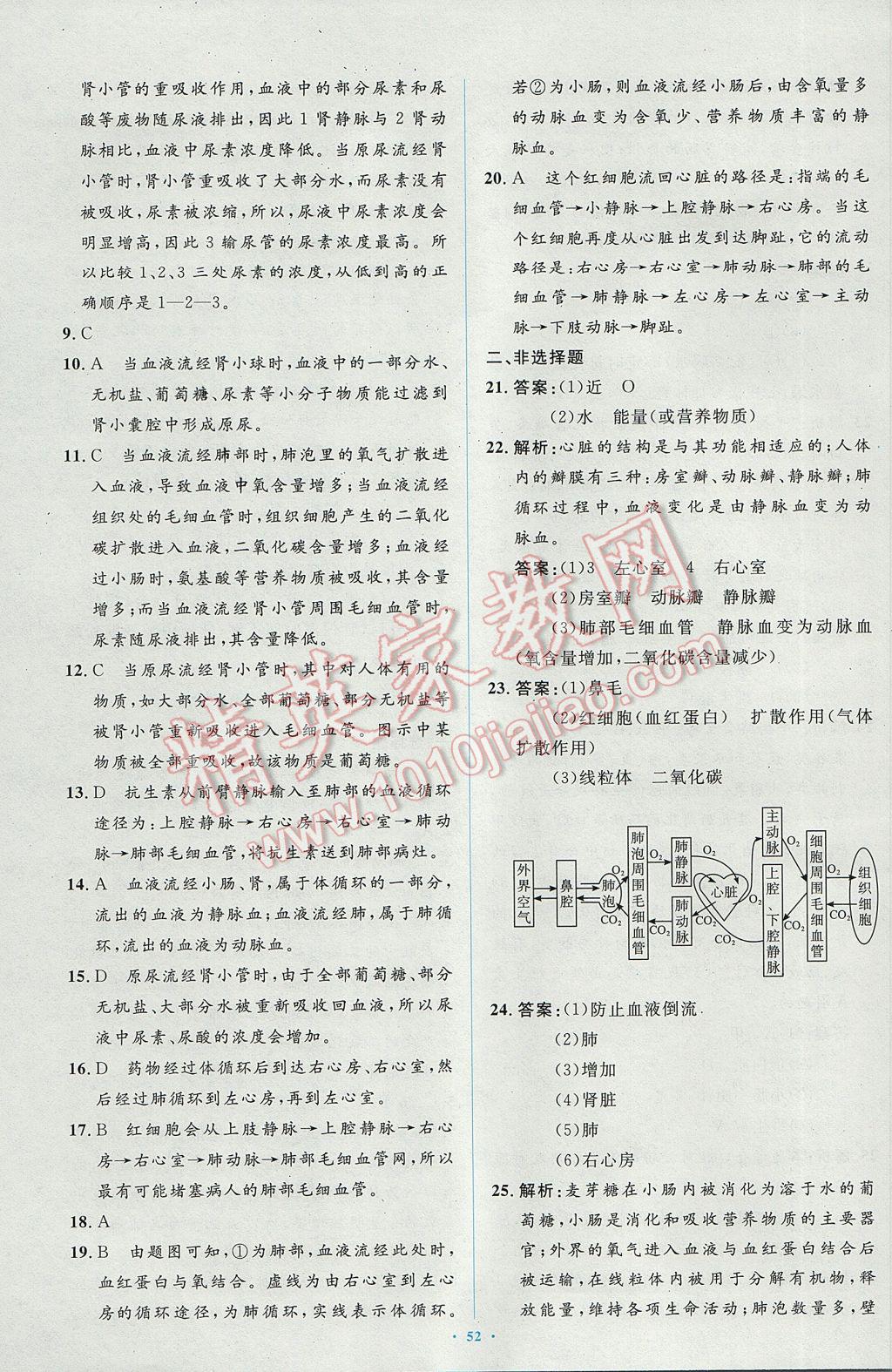 2017年新课标初中同步学习目标与检测七年级生物下册人教版 参考答案第30页