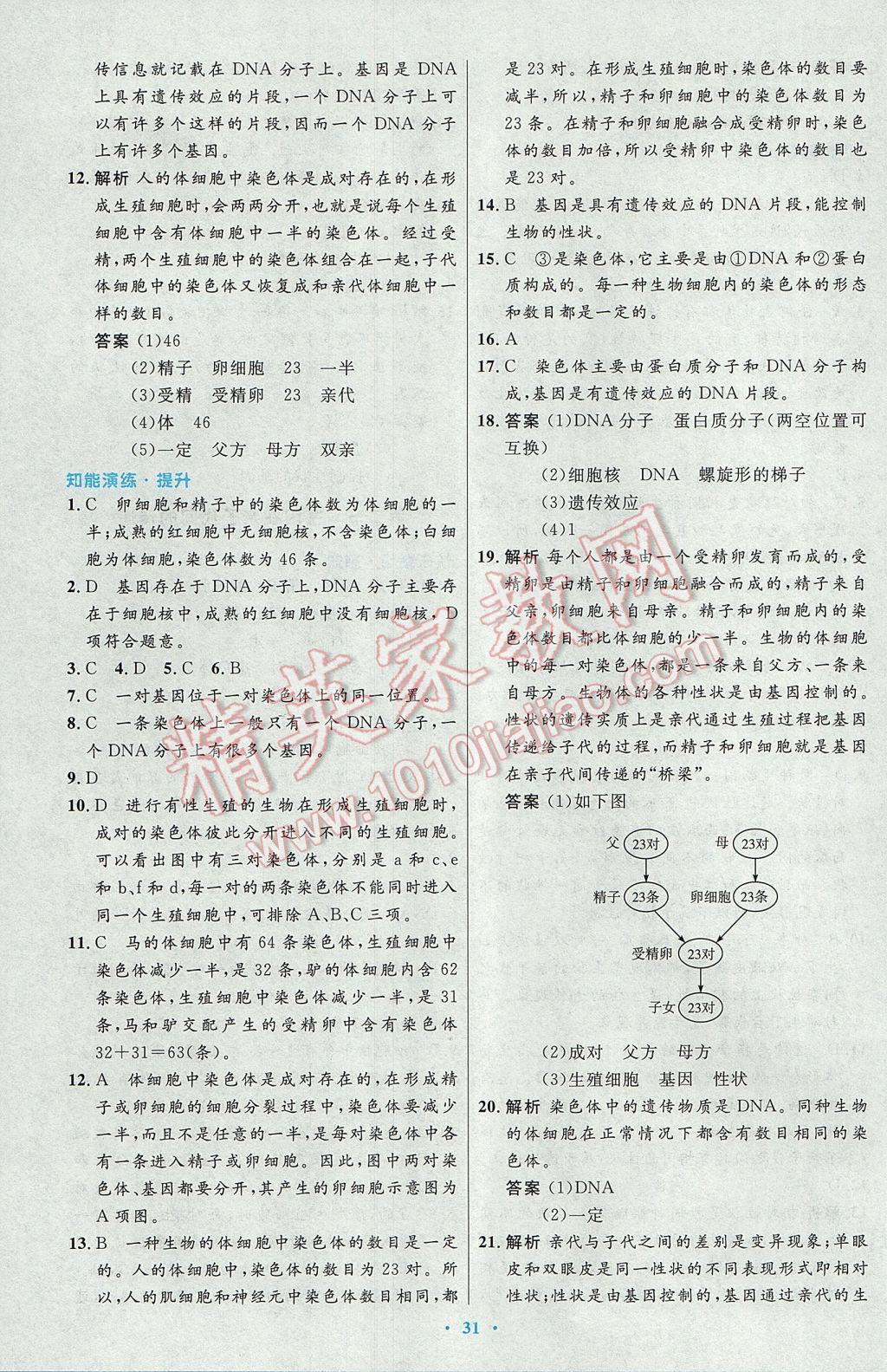 2017年初中同步测控优化设计八年级生物学下册人教版 参考答案第7页