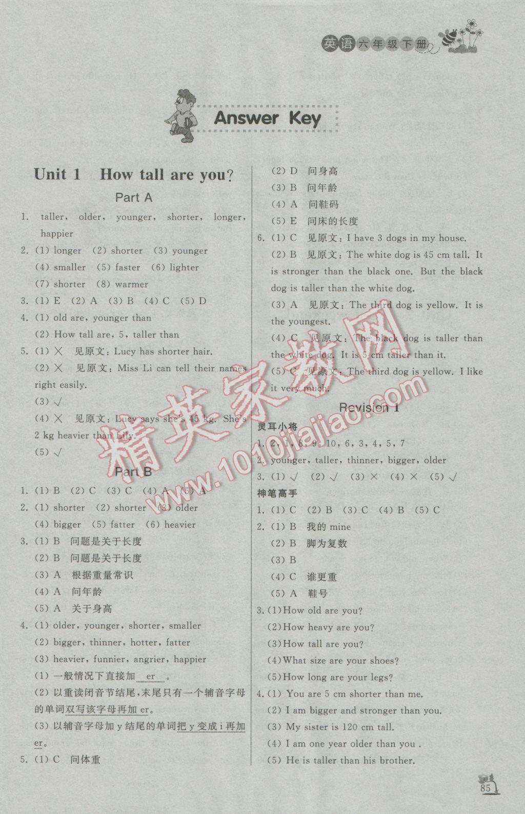 2017年小学课外作业六年级英语下册 参考答案第2页