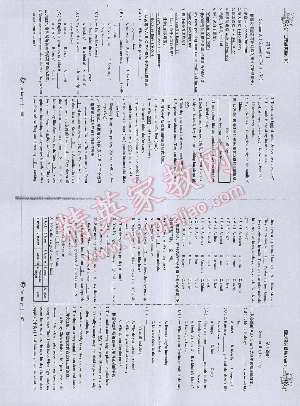 2017年蓉城课堂给力A加七年级英语下册 参考答案第35页