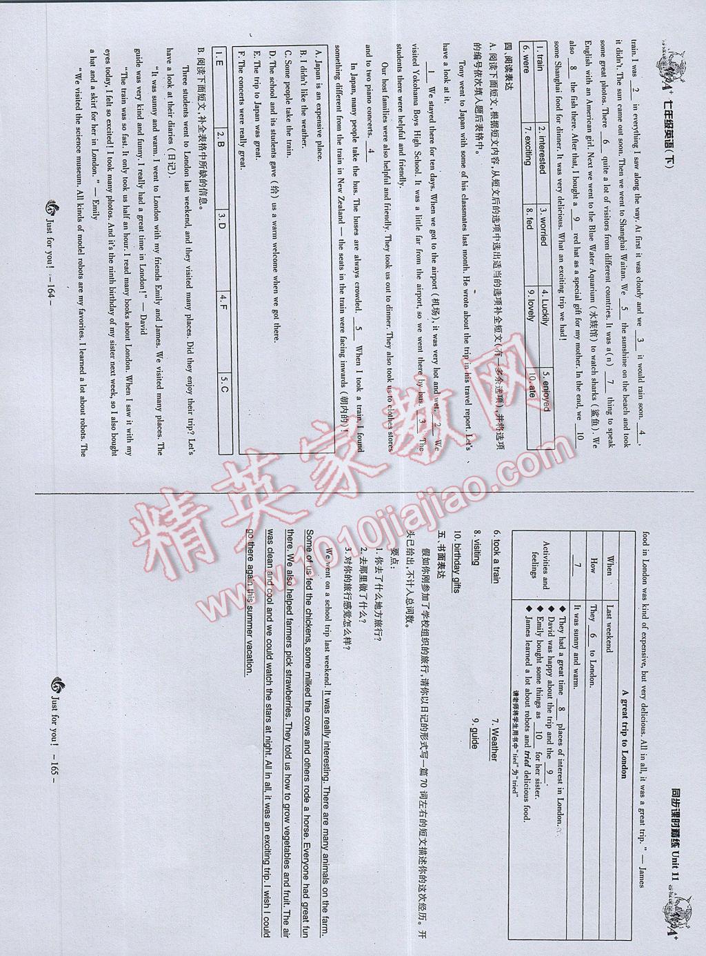 2017年蓉城课堂给力A加七年级英语下册 参考答案第84页