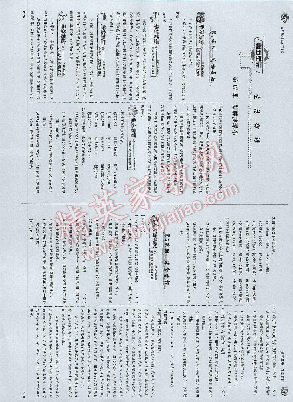 2017年蓉城課堂給力A加七年級語文下冊 參考答案第40頁