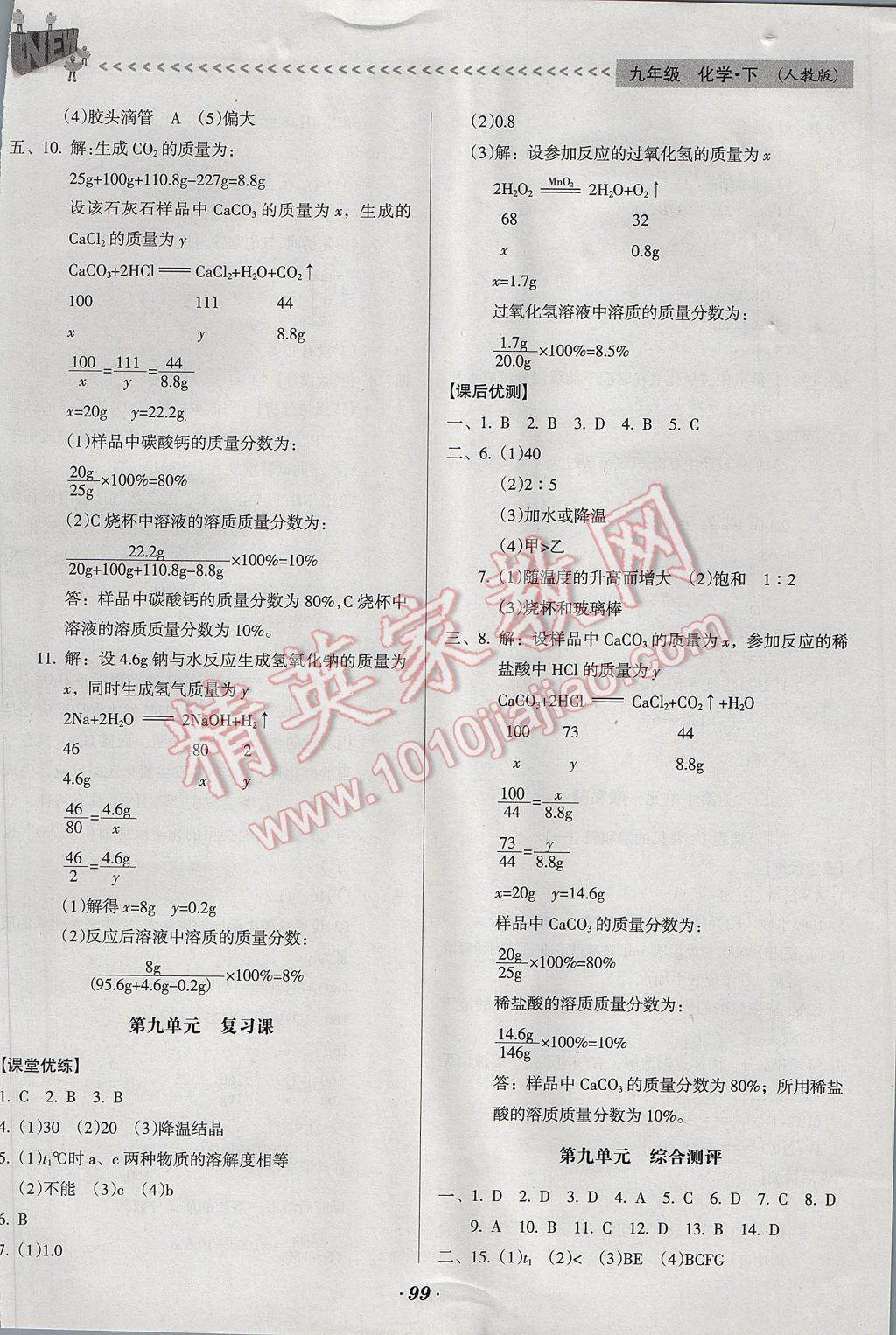 2017年全优点练课计划九年级化学下册人教版 参考答案第5页