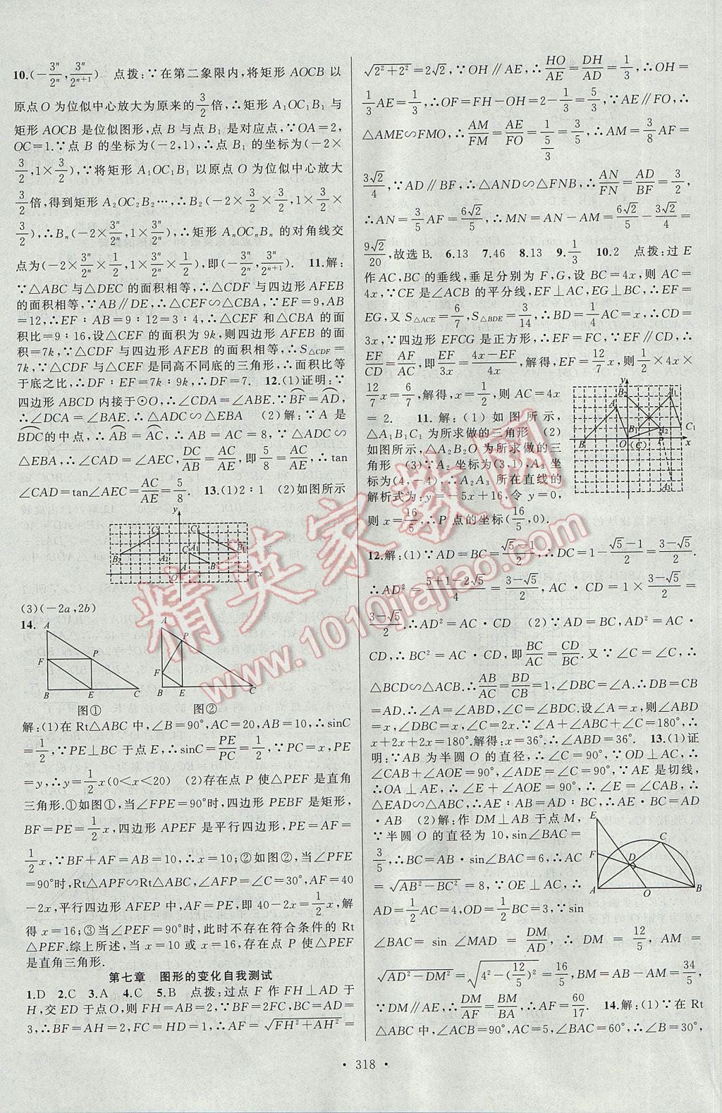 2017年聚焦中考數(shù)學(xué)河南專版 參考答案第46頁(yè)